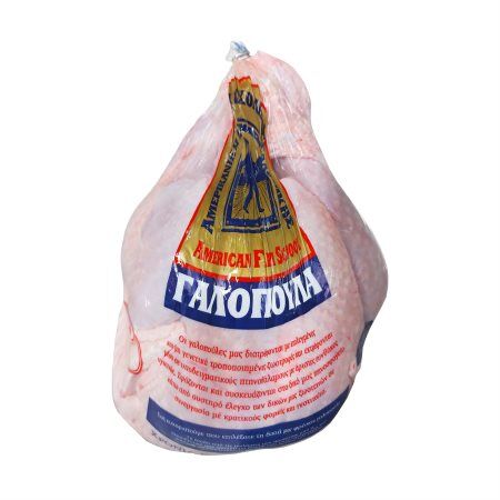 Γαλοπούλα ΑΜΕΡΙΚΑΝΙΚΗΣ ΓΕΩΡΓΙΚΗΣ ΣΧΟΛΗΣ ΘΕΣΣΑΛΟΝΙΚΗΣ Ελληνική ΤΕΜΑΧΙΟ 5 ΚΙΛΩΝ +/-